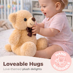 TOYTALES Teddy Bear Soft Toy | Plush Stuffed Toy 23cm